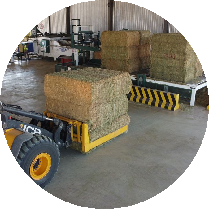 fondomonte_circle (1)